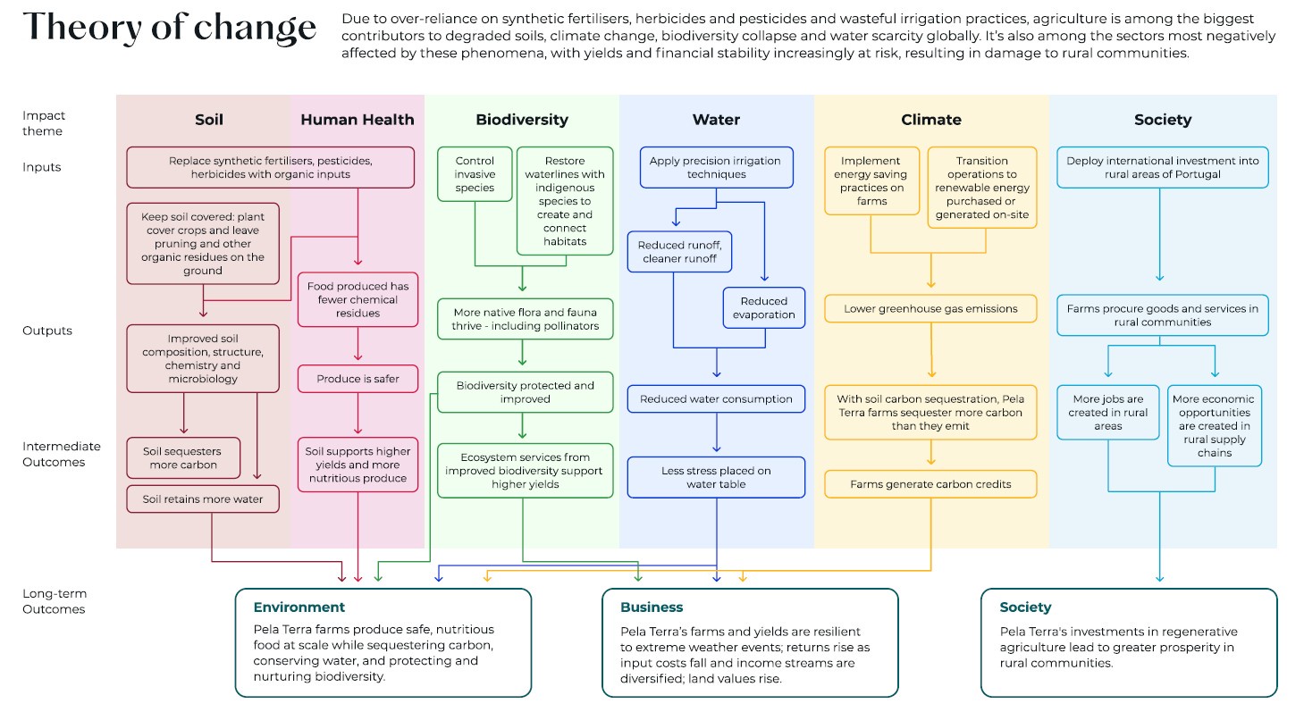Pela Terra Theory of Change Diagram