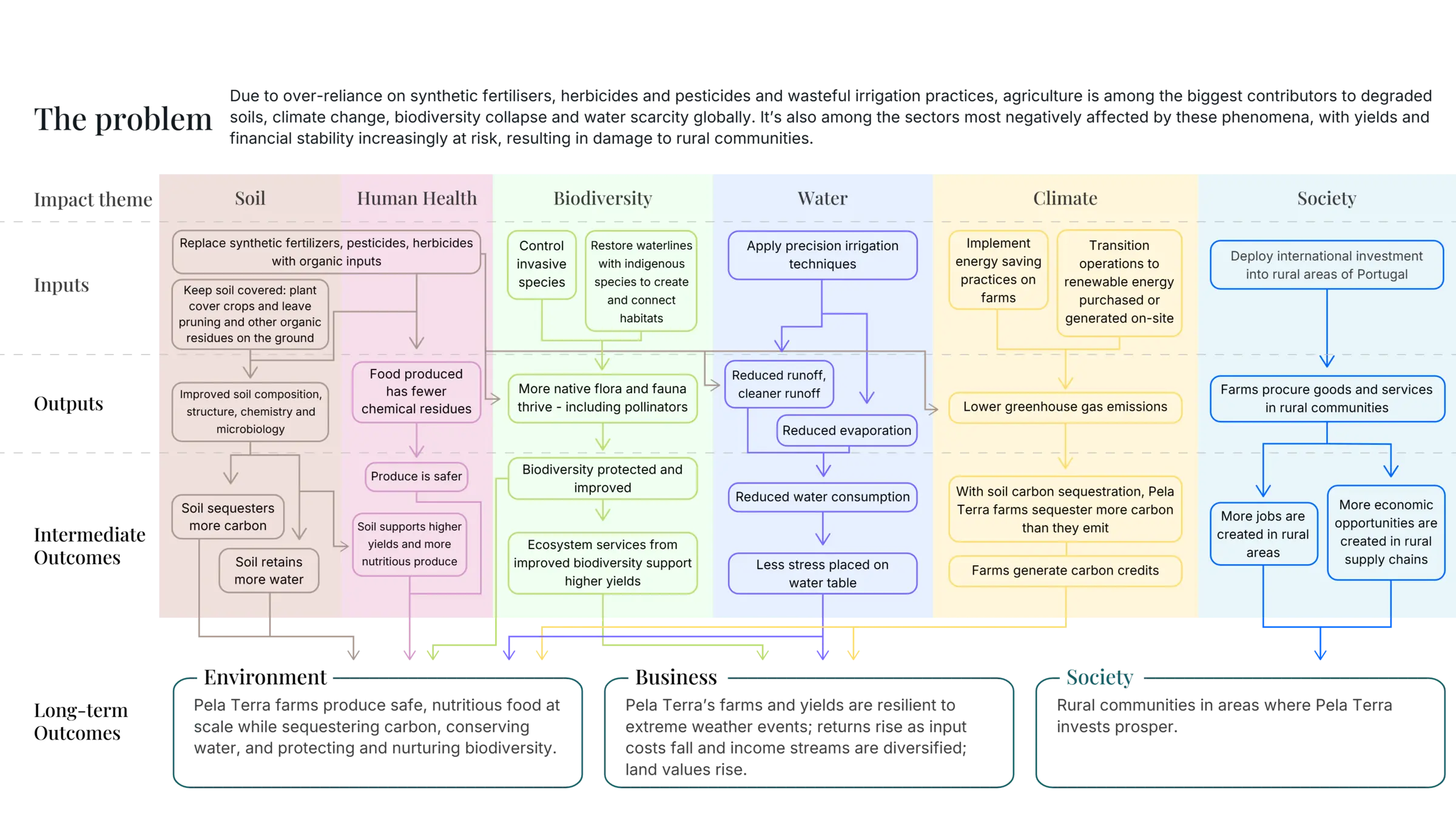 Pela Terra Theory of Change: impact themes from inputs through to long-term environmental, business and society outcomes